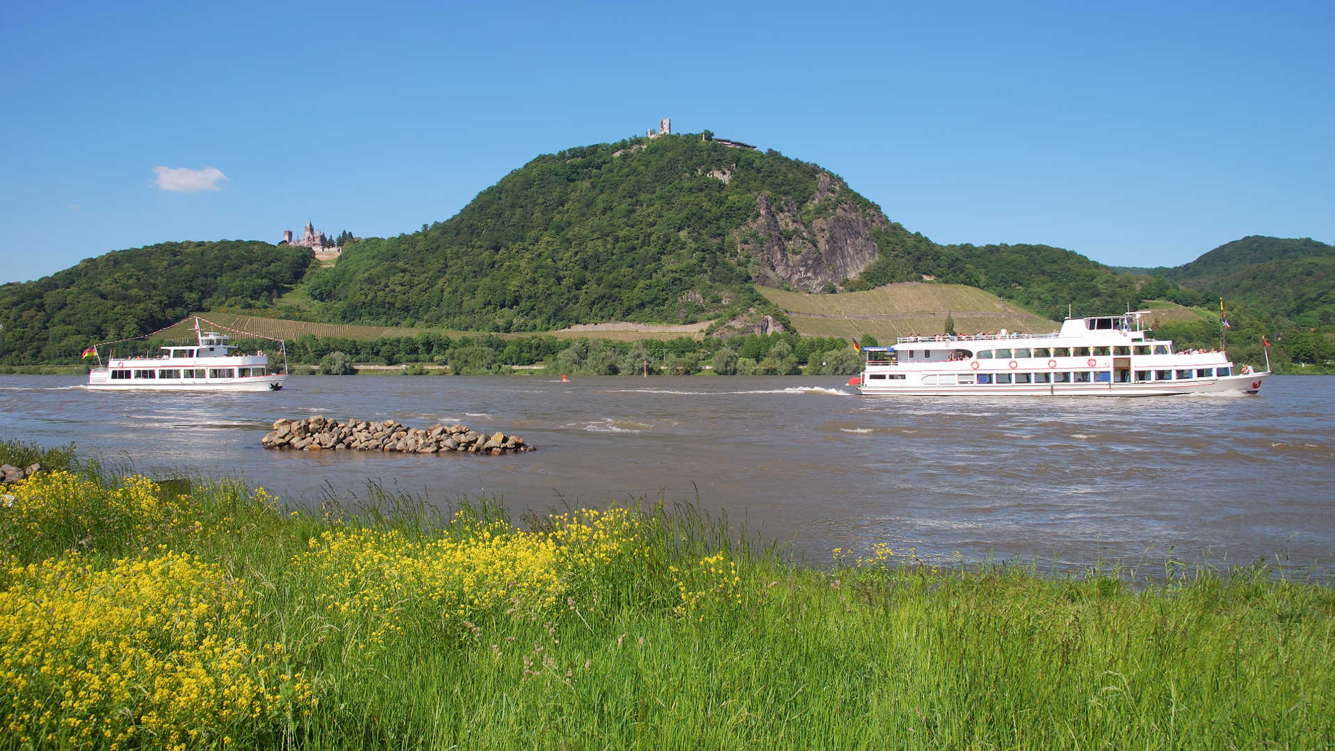 Das r(h)eine Erlebnis